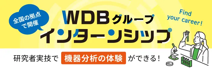 WDBグループインターンシップ